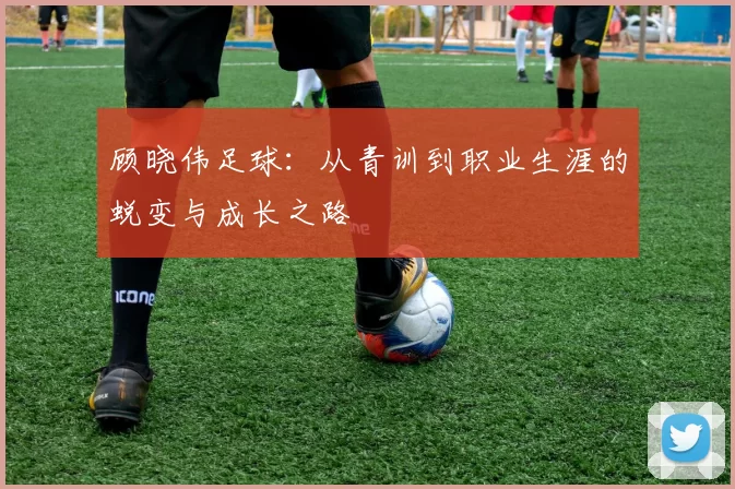 顾晓伟足球：从青训到职业生涯的蜕变与成长之路